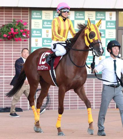 【札幌記念】シェイクユアハートのレコードVに「なんぼでも走れる」「全然違う」「天皇賞・秋が楽しみ」宮調教師の口も滑らか