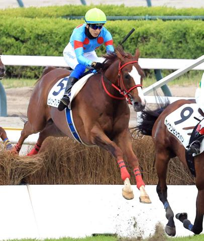 「泣きそうです」助手から障害専門ジョッキー転身の坂口智康騎手　全面サポートの浅利師と待望のコンビ初V　