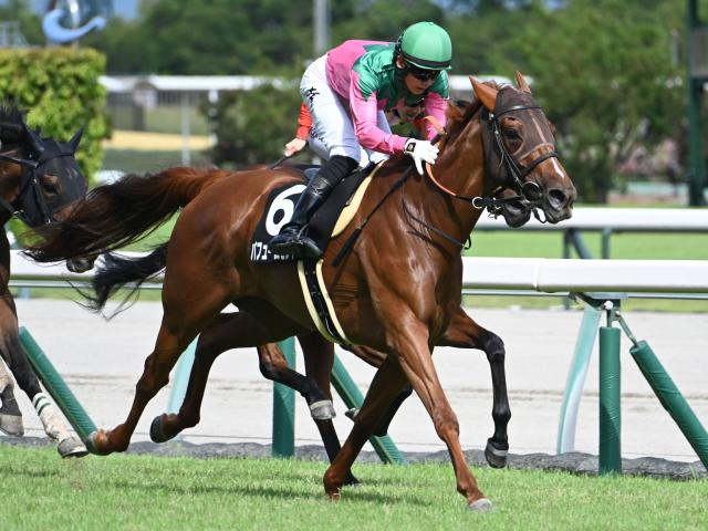 【長久手特別レース後コメント】パフュームセント幸英明騎手ら