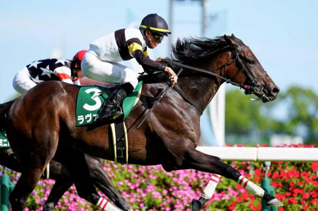 【中京記念】ラヴァンダ　牡馬一蹴　コースレコードV　中村師「理想的」