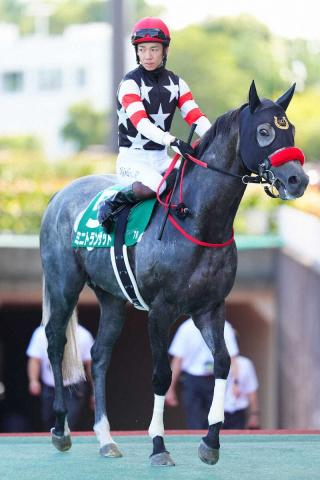 【中京記念】2着ミニトランザット　勝ち馬に肉薄　松山「頑張ってくれたが、1頭強い馬がいた」