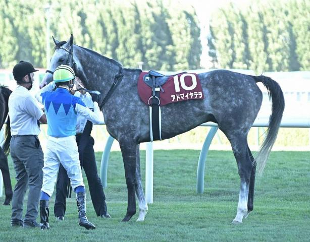 【札幌記念】9着アドマイヤテラ　失速も予定通り凱旋門賞へ　友道師は「自分のリズムで走れていなかった」