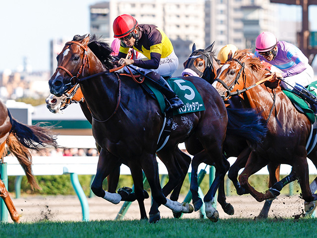札幌でキーンランドCと新潟で新潟2歳S/今週の競馬界の見どころ