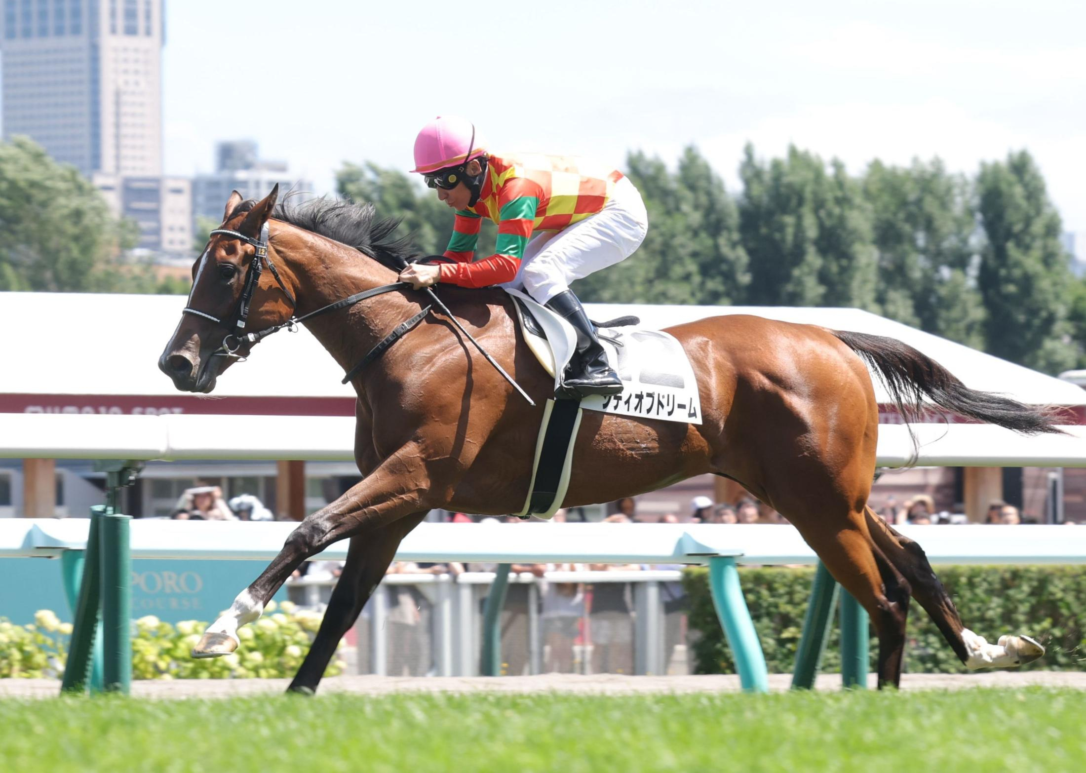 【新馬戦】シティオブドリーム　１馬身半差の快勝　昆師は慎重にジャッジ「相手が軽過ぎて分からない」