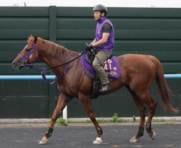 【キーンランドC】2年連続参戦ウインカーネリアン、9歳も衰えなし