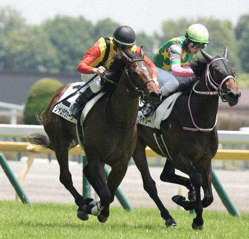 【新潟2歳S】シャンデヴァーグ、スピードが魅力「平たんの新潟は良さそう」