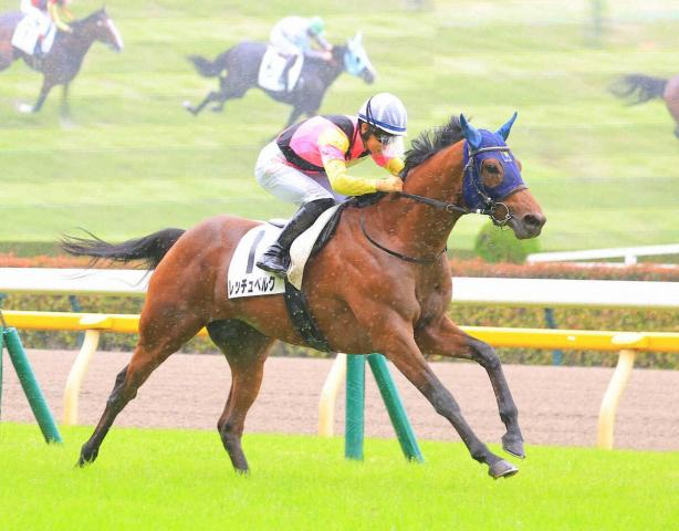 【新潟2歳S】絶好舞台レッチュベルク末脚全開「程よく気合が乗ってきた」
