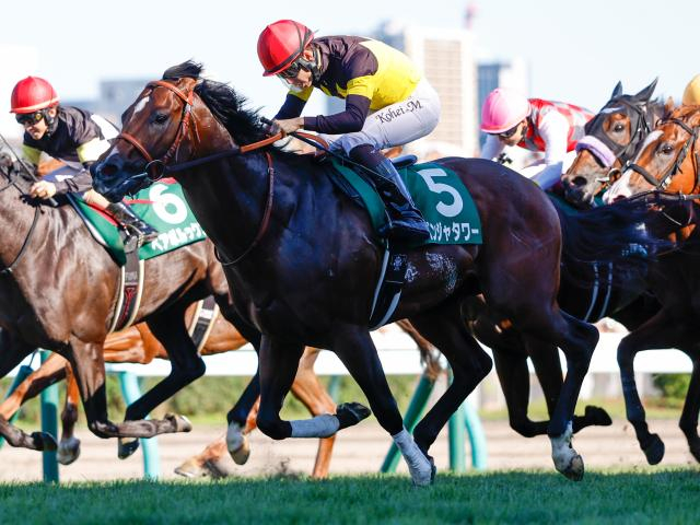 【キーンランドC展望】GI馬パンジャタワーが連覇へ