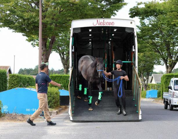 春の2冠馬ロブチェン帰厩　今後は神戸新聞杯から“大一番”菊花賞へ