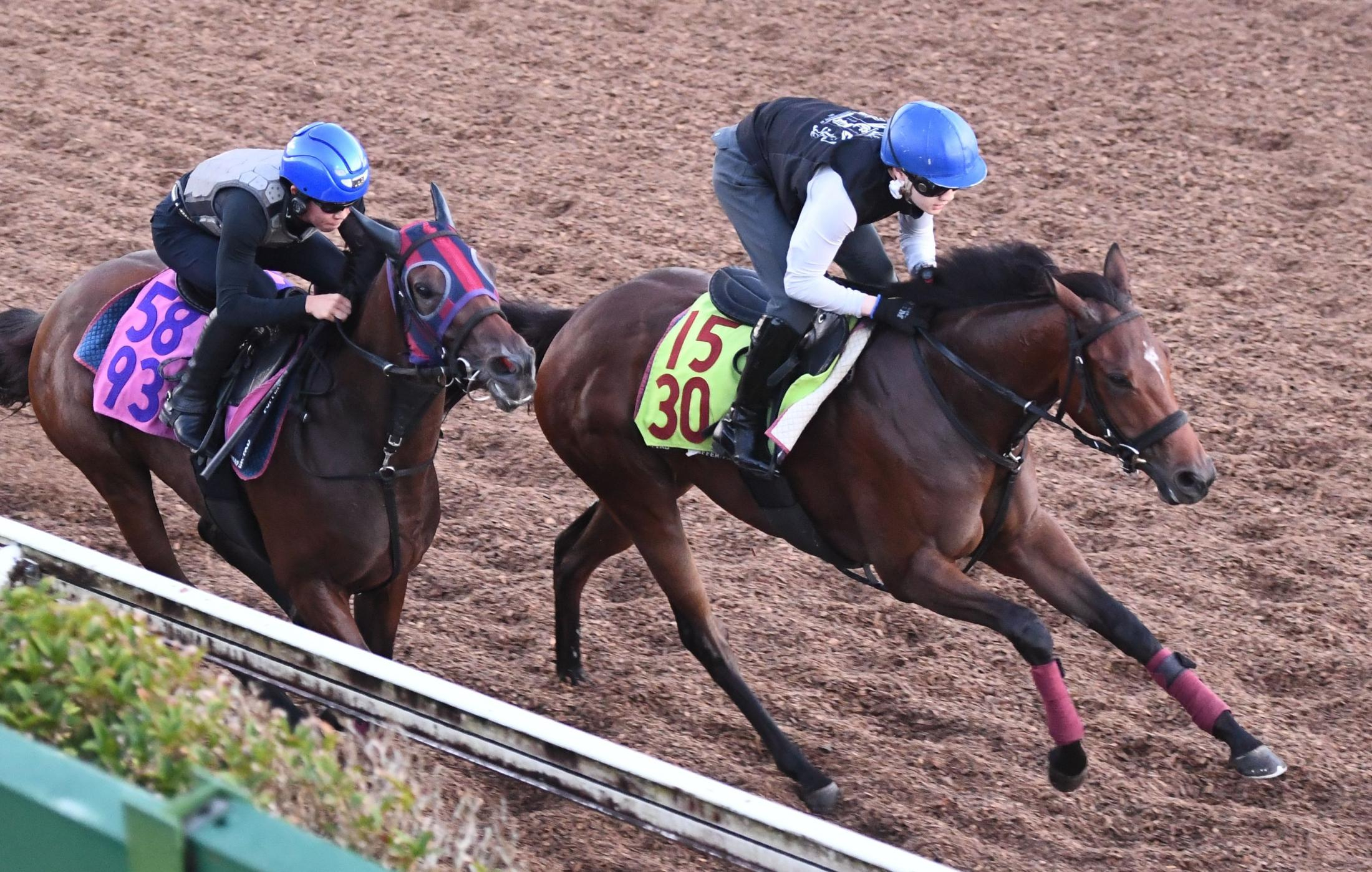 【新潟２歳Ｓ】シャンデヴァーグ万全　素軽い脚さばきでキビキビ　森一師「いい競馬をして来年につなげたい」