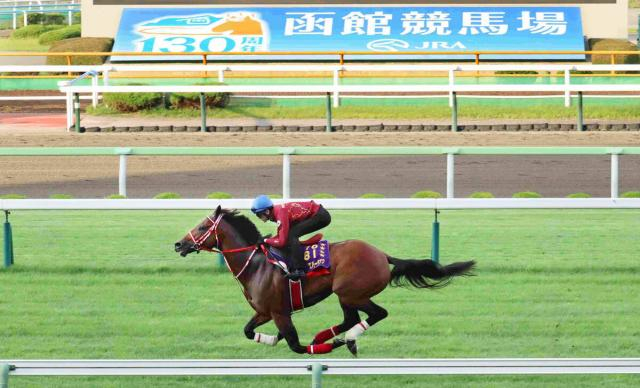 フォーエバーヤングが芝で初の追い切り、「初めてと思えないぐらい…」坂井瑠星騎手も驚く10秒8