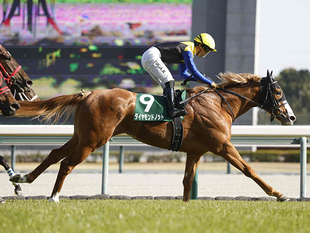 【有力馬動向】ダイヤモンドノットがCWで6F77秒6の猛時計 セントウルSでの始動へ体調良し/馬三郎のつぶやき