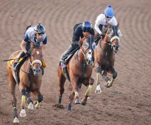【新潟記念・1週前】アーバンシックが復活へ向けて1週ごとに上昇中　三浦皇成騎手「この馬らしさが出てきました」