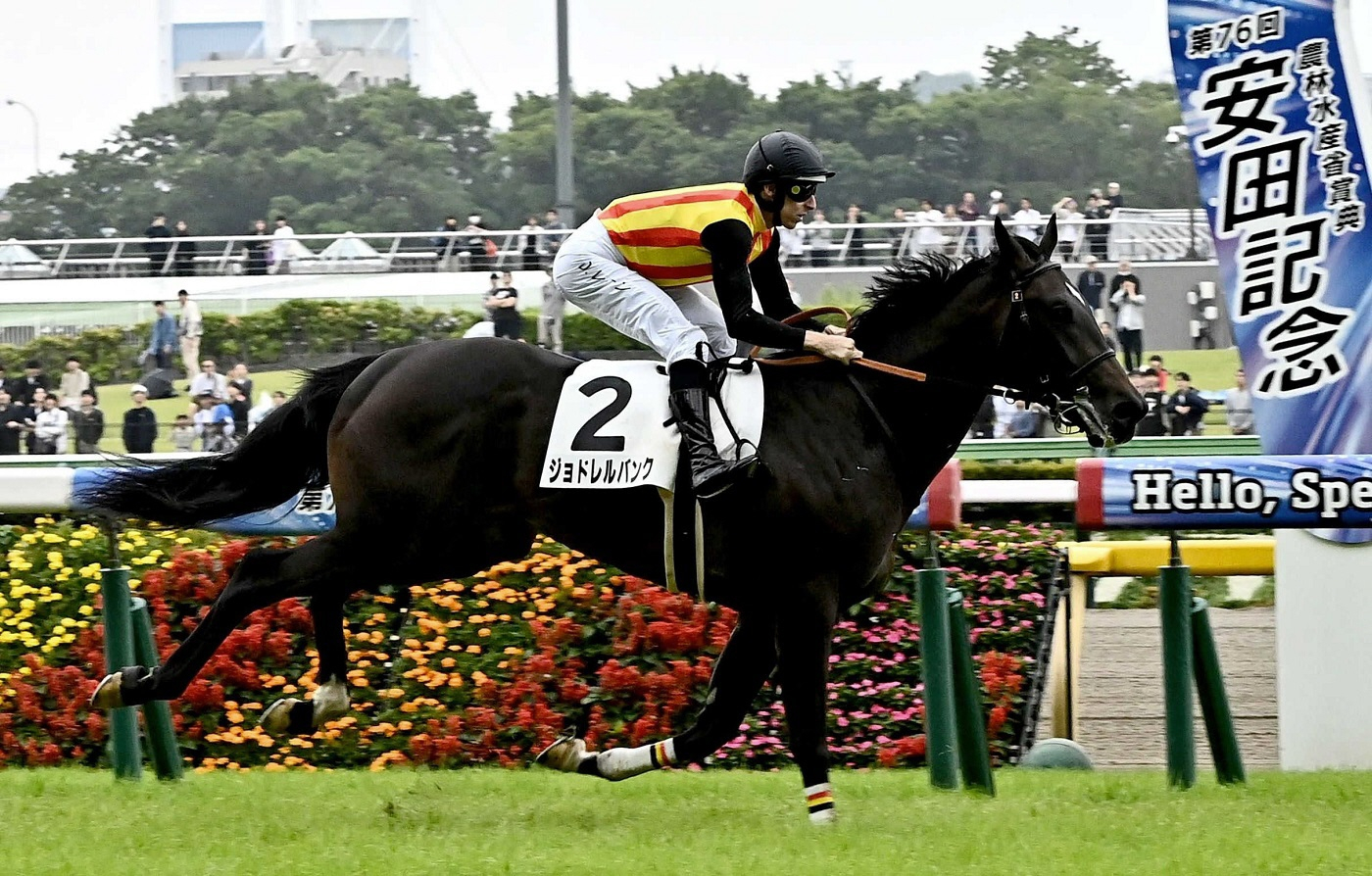 伯父にトーセンジョーダンのルクスアルカードは３０日の中京３Ｒで初陣　ジョドレルバンクは芙蓉Ｓへ