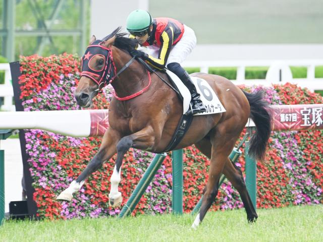 【新潟2歳S枠順確定】インカルナータは8枠10番、シャンデヴァーグは1枠1番