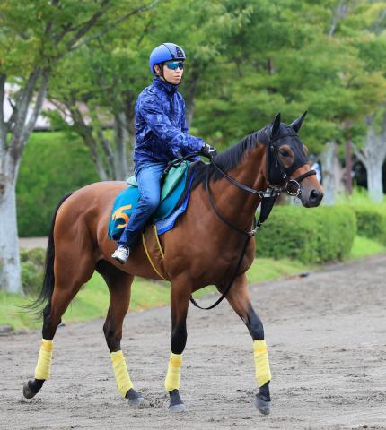 【新潟2歳S・金曜気配】3馬身差V発進のレッチュベルク　久保田調教師も絶賛「現時点では言うことがない」