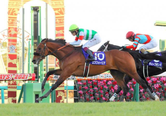 【22日の注目・新潟5R】全兄に21年の年度代表馬エフフォーリアを持つ良血馬　エヴィーヴァがマイル戦で待望の初勝利へ