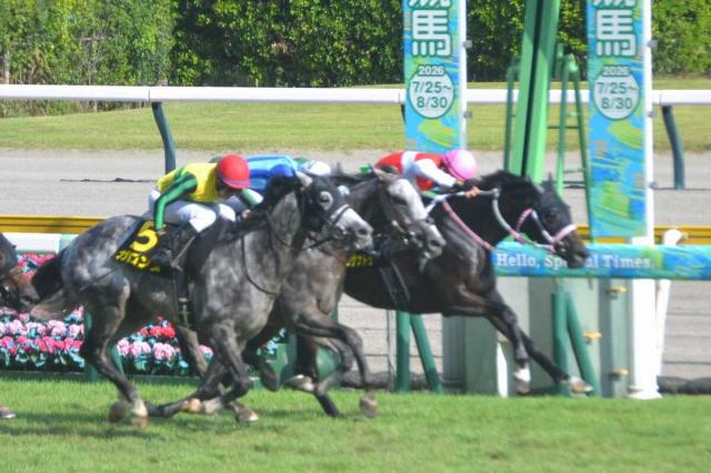 【新潟7R・朱鷺S】5番人気ショウナンザナドゥが逃げ切って大接戦制す　吉田豊「よくしのいでくれた」