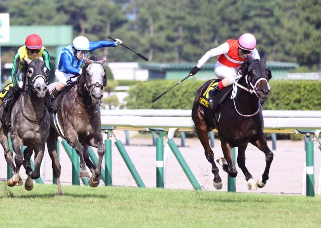 【新潟7R・朱鷺S】ショウナンザナドゥが大激戦制し1年5か月ぶりV　吉田豊騎手「ブリンカーも効いている」