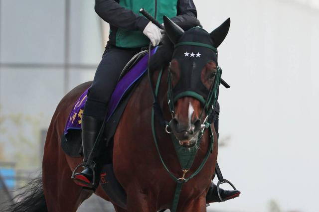 【キーンランドC・土曜気配】連覇狙うパンジャタワーは活気満点　陣営「レースに向けての馬の気持ちは去年より強い」