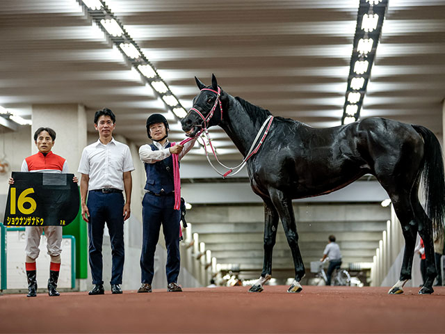 【朱鷺Sレース後コメント】ショウナンザナドゥ吉田豊騎手ら