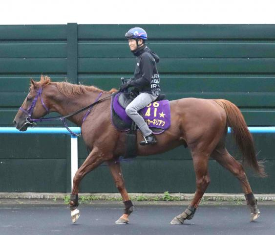 【キーンランドC・特選有力馬チェック】ウインカーネリアンは買うべき?