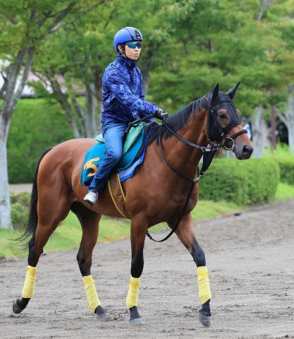 【新潟2歳S】前日最終オッズの単勝1番人気は初陣完勝レッチュベルク　10頭立てで5頭が10倍切る