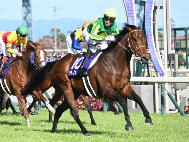 【英・シティオブヨークS結果】ノータブルスピーチがG1・6勝目 サトノレーヴは9着