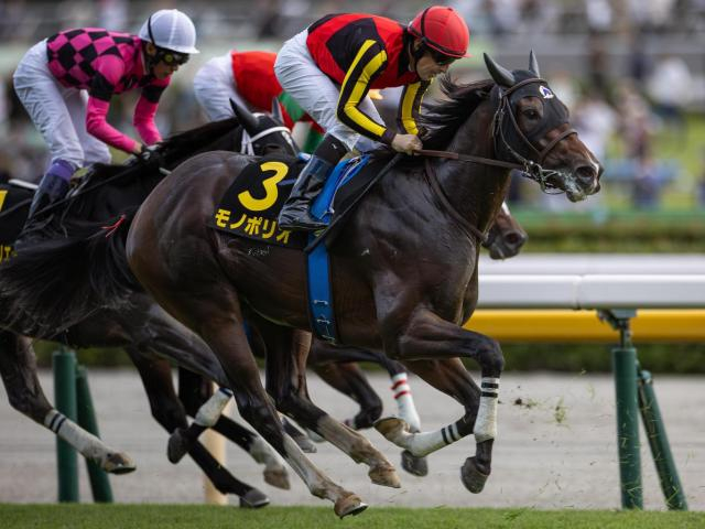 シンザン記念で1番人気の素質馬 モノポリオが7カ月半ぶり復帰戦だ