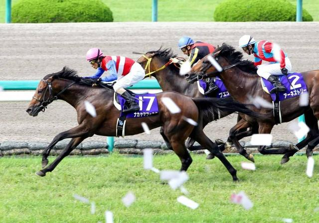 ナカヤマフェスタ死す...衰弱による起立不全で　10年凱旋門賞で2着　うらかわ優駿ビレッジAERUが発表