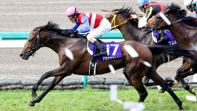 「言葉が出ない...」「早すぎんだよぉ」突然の別れにネット悲痛の声　10年凱旋門賞2着ナカヤマフェスタ天国へ