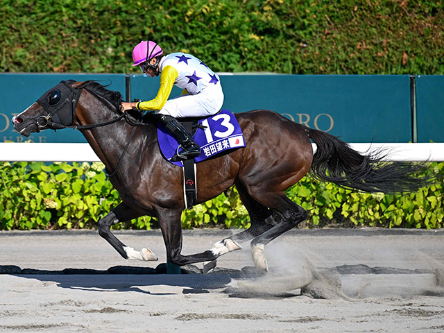 【JRA・WIN5】2レース目の12番人気Vで的中7票、配当は6986万4960円