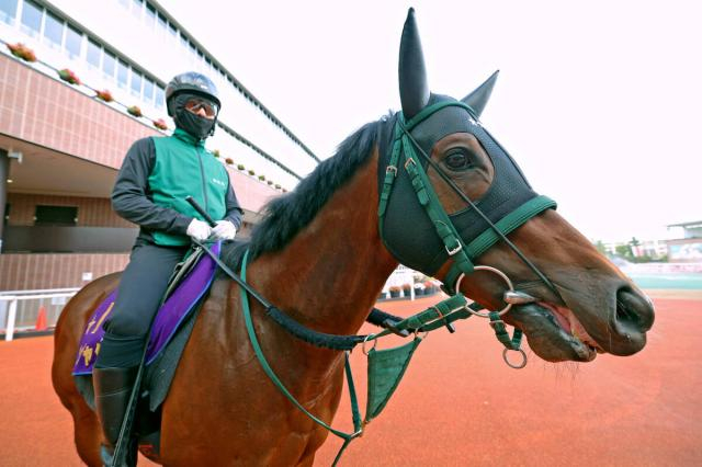【キーンランドC】松山弘平騎手「この馬の力は示してくれたのでは」パンジャタワー2着でレース史上初の連覇逃すも