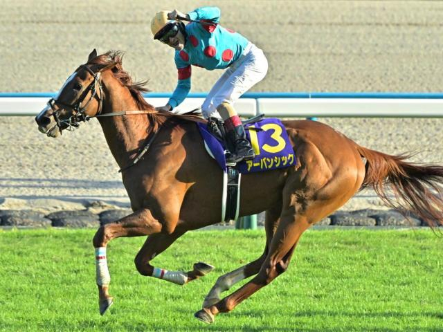 【新潟記念】アーバンシック＆ドゥレッツァが勝てばビワハヤヒデ以来！ 菊花賞馬の平地GIII制覇なるか