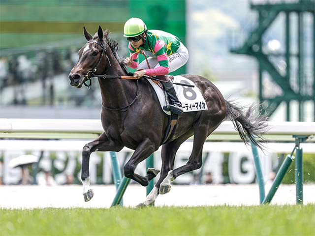 【中京2歳S想定騎手】ジーティーマイカは松山弘平騎手、シスキンブルームは団野大成騎手