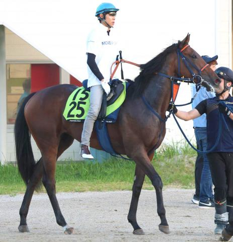 【中京2歳S・松ケ下の特注馬】ビスケットサンドの精神的成長を評価　相乗効果で馬自体がひと回り良化した印象