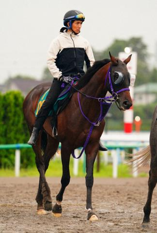 【新潟新馬戦】良血チェスティーノ　母譲りのバネ魅力　鹿戸師の元で師匠“藤沢流”育成