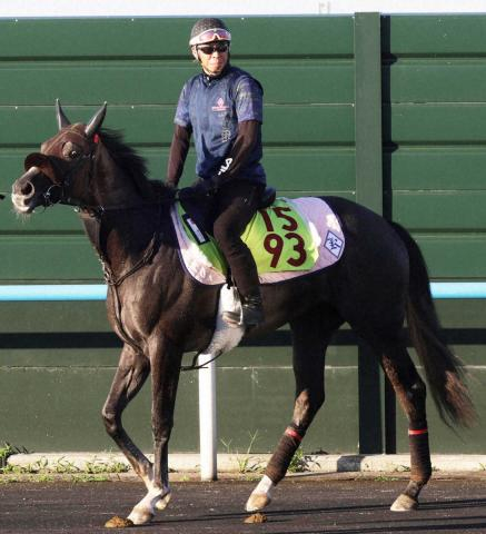【札幌新馬戦】良血イルリサット　完成度高い　重富助手「距離適性は長いところかも」