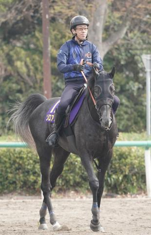【新潟記念】ゾロアストロ　計り知れぬ能力　宮田師「まだまだタイトルを獲れる」
