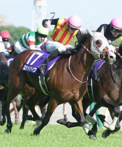 【新潟記念】ロデオドライブ　初距離&古馬相手でも一発突破だ!　休み明けは“買い”