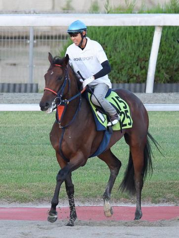 【中京2歳S】ビスケットサンド　前進気勢が出た　伊藤助手「着実に良化している」