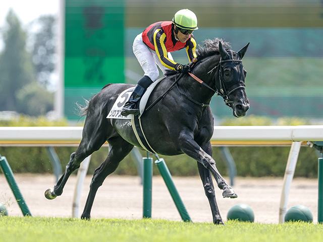【新潟記念展望】3歳馬ゾロアストロが強豪撃破を狙う