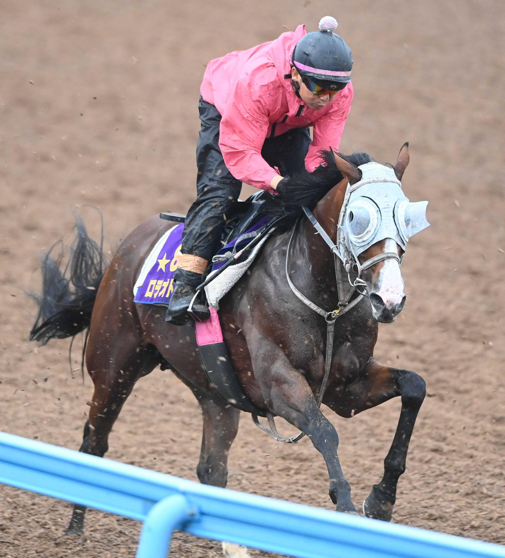 【新潟記念】勢いＮo.１は３歳Ｇ１馬ロデオドライブ　データは唯一の全項目クリア　強豪古馬勢撃破で飛躍の秋へ