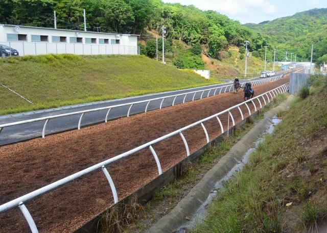 淡路島の外厩施設「フォレストヒル」に潜入!「心身の回復」から「次戦の準備まで」勝利導く