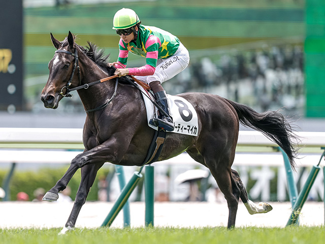 【中京2歳S展望】新馬戦圧勝のジーティーマイカが中心