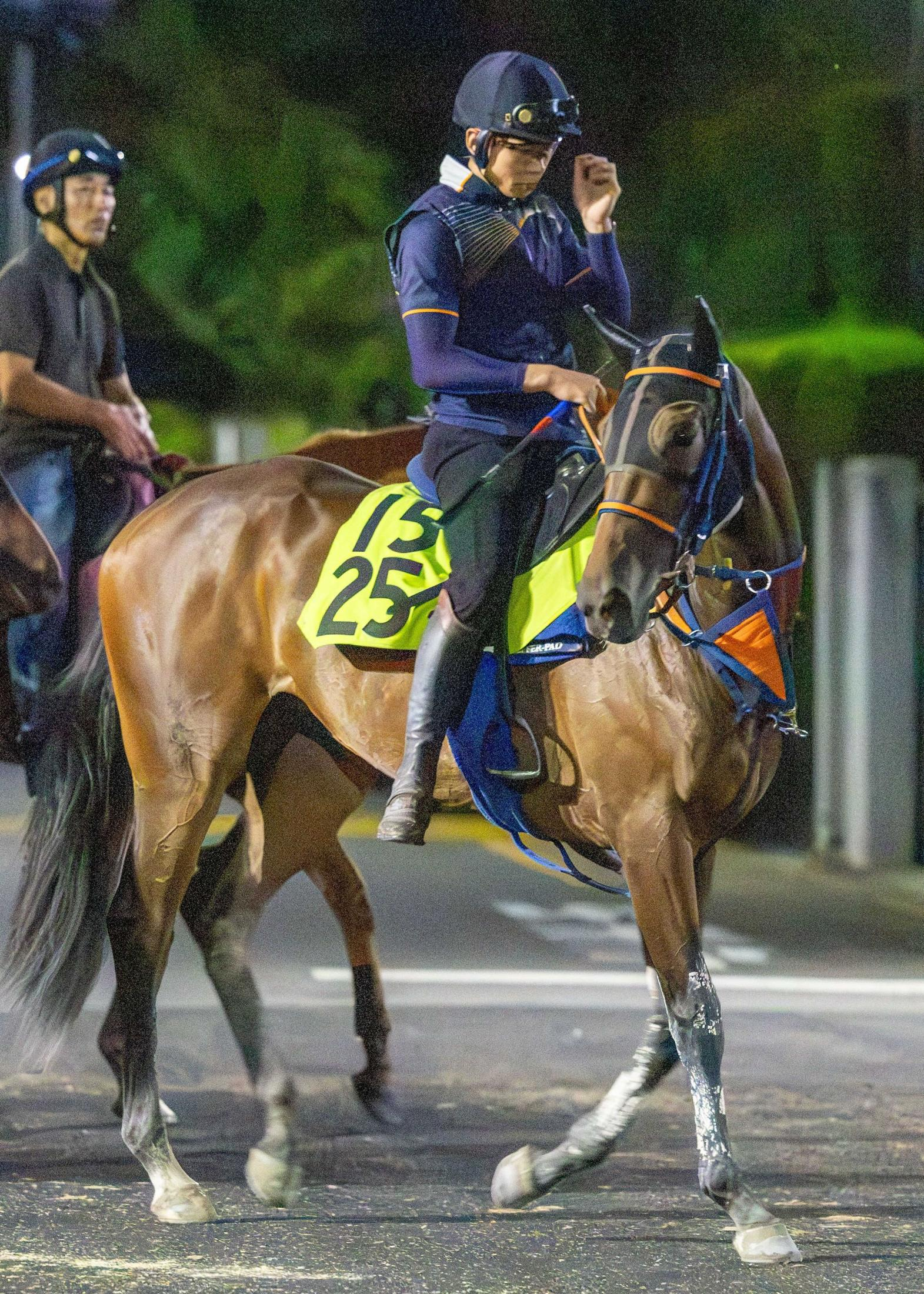 【中京２歳Ｓ】ビスケットサンド　重賞初Ｖつかむ　厩舎初の芝タイトルへ　佐藤悠師「思ったような調整ができている」
