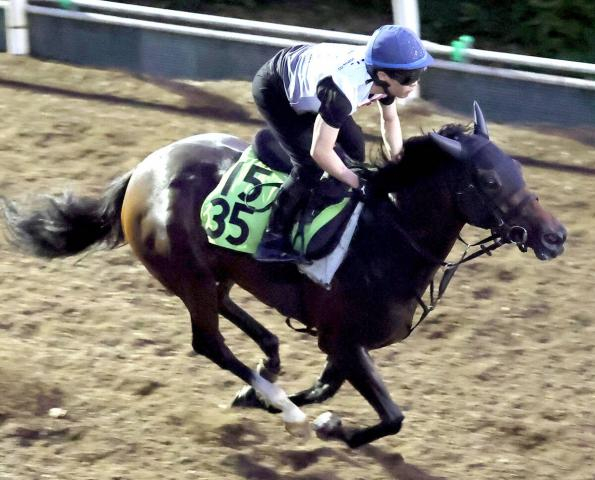 【中京2歳S】祖母に3冠牝馬のサンタンジェロは落ち着き払った走りで好仕上がり　陣営「そんなに攻め過ぎず…」