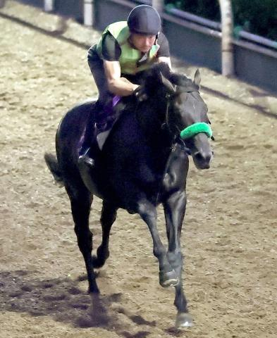 3冠目指すロブチェンが帰厩後の初時計　陣営「体が大人になってしっかりしてきた」　神戸新聞杯から菊花賞へ
