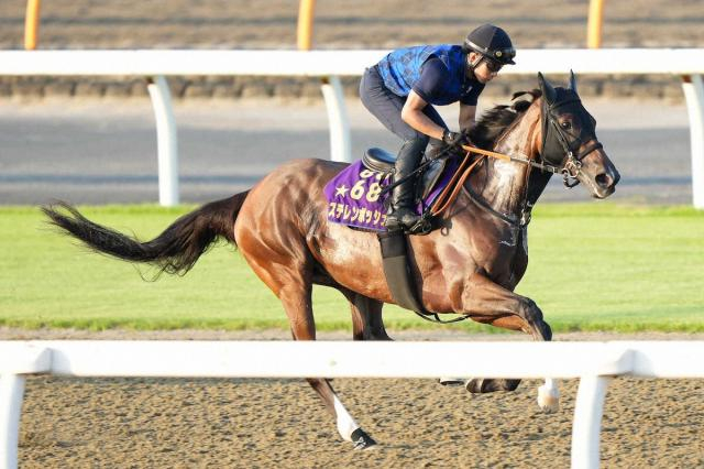 【新潟記念】ステレンボッシュ　楽に半馬身先着　狙い通りの距離延長で復活を期す