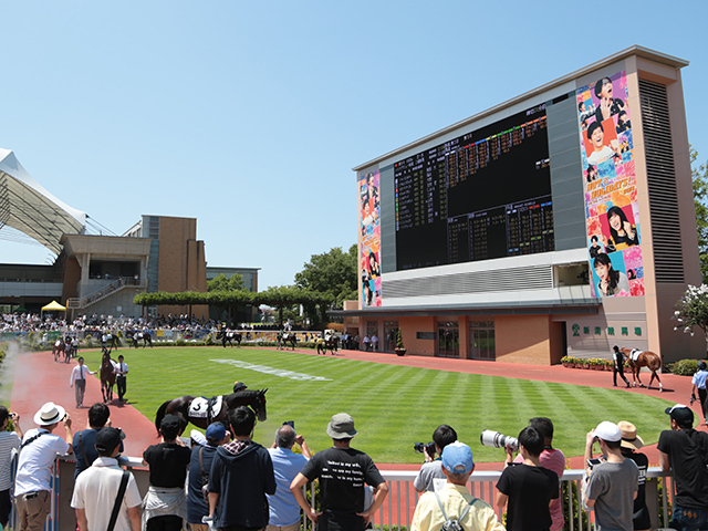 【新潟記念出走馬・騎手確定】ロデオドライブ＆C.ルメール騎手、ダノンシーマ＆川田将雅騎手など11頭